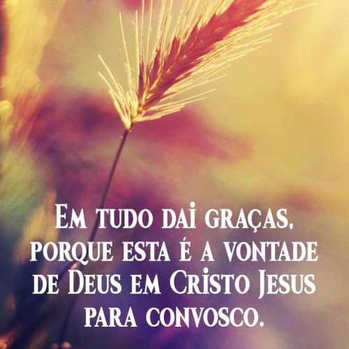 Agradeça a Deus
