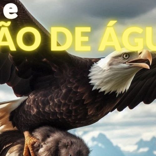 Fé e visão de águia