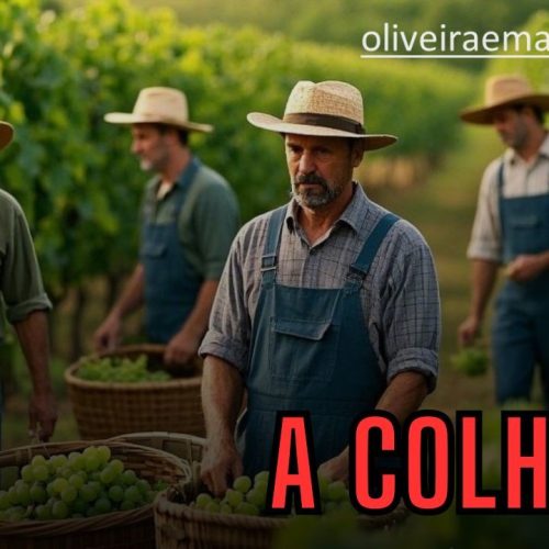 Quando a semente é boa a colheita será abundante