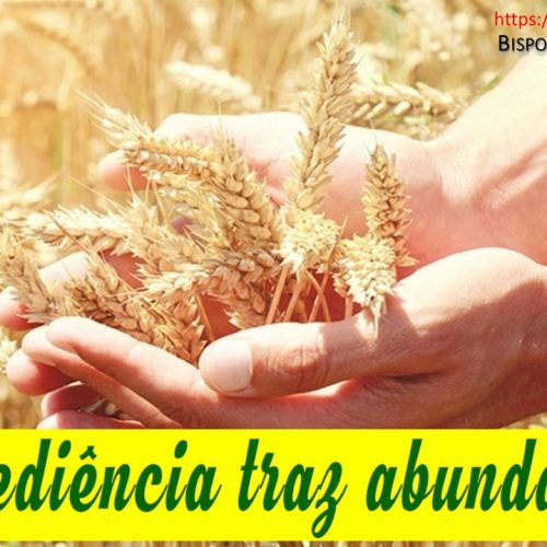 A obediência traz abundância