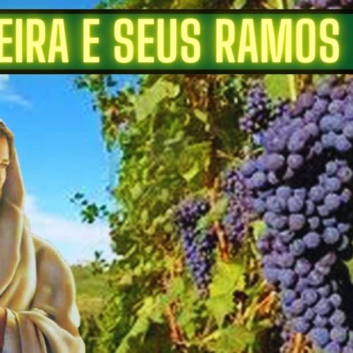 A videira e seus ramos
