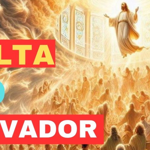 A volta do Salvador