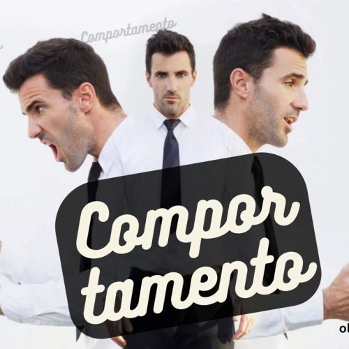 Comportamento (vídeo)