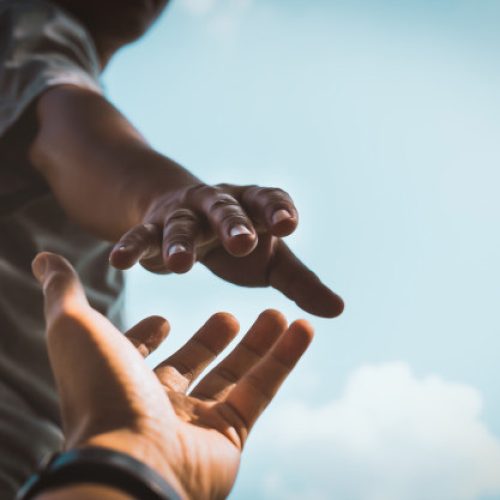 Confiança (texto)