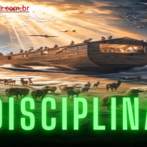 Quando somos obedientes é porque somos disciplinados