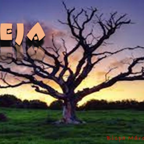 Inveja (vídeo)