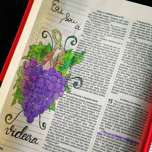 Jesus Cristo fala sobre a videira (texto)