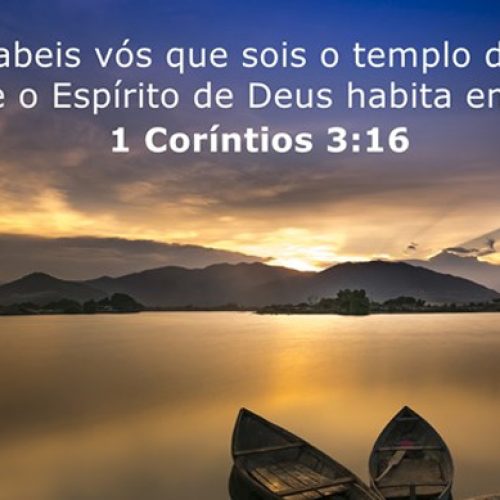 O exercício do amor (texto)