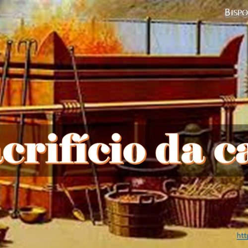O sacrifício da carne (vídeo)
