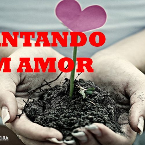 Plantando com amor (vídeo)