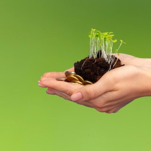 Prosperidade e riqueza (texto)