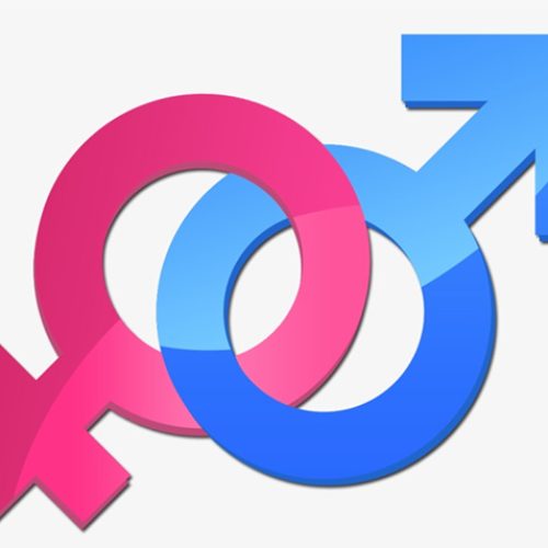Quem é a criatura humana (texto)