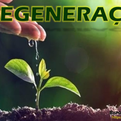Regeneração