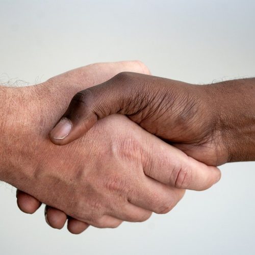 Respeite a lei da concordância (texto)