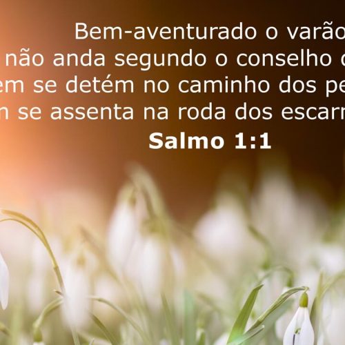 Não ao conselho dos ímpios (vídeo)