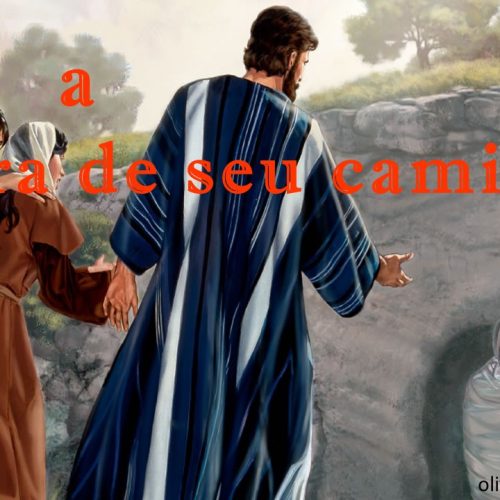 Tire a pedra de seu caminho! (vídeo)