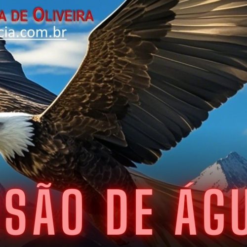 Visão de águia. A águia é símbolo de força, poder e majestade. Qual tem sido sua visão? De águia ou de passarinho?